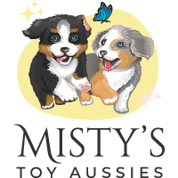 HMA HEAVENLY MINI AUSSIE'S LLC - Toy Australian Shepherd, Mini